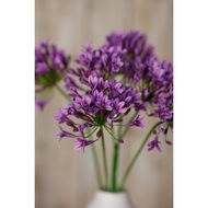 Lilac Agapanthus Spray - Thumb 5
