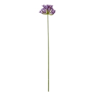 Lilac Agapanthus Spray - Thumb 1