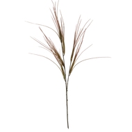 Brome Grass Spray - Thumb 2