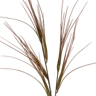 Brome Grass Spray - Thumb 1