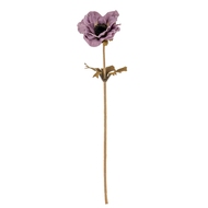 Purple Anemone Stem - Thumb 1