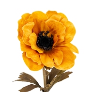 Yellow Anemone Stem - Thumb 1