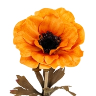 Orange Anemone Stem - Thumb 1