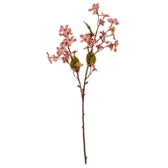 Pink Vernicia Fordii Spray - Thumb 2