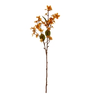 Yellow Vernicia Fordii Spray - Thumb 2