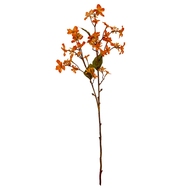 Orange Vernicia Fordii Spray - Thumb 2