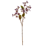 Purple Vernicia Fordii Spray - Thumb 2