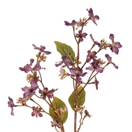 Purple Vernicia Fordii Spray - Thumb 1