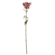 Pink Dianthus Spray - Thumb 2