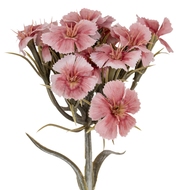 Pink Dianthus Spray - Thumb 1