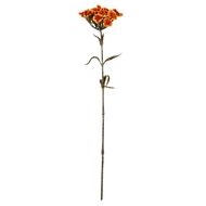 Orange Dianthus Spray - Thumb 2