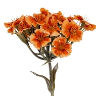 Orange Dianthus Spray - Thumb 1