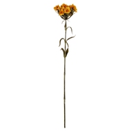 Yellow Dianthus Spray - Thumb 2