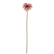 Pink Gerbera Stem - Thumb 2