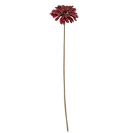 Burgundy Gerbera Stem - Thumb 2