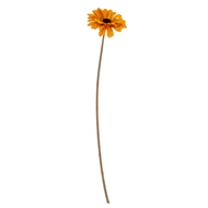 Orange Gerbera Stem - Thumb 2