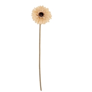 Cream Gerbera Stem - Thumb 2