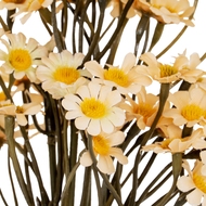 Cream Daisy Bunch - Thumb 3