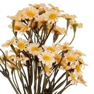 Cream Daisy Bunch - Thumb 1