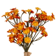Orange Daisy Bunch - Thumb 1