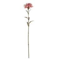 Pink Carnation Stem - Thumb 2