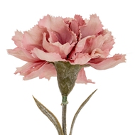 Pink Carnation Stem - Thumb 3