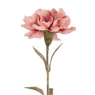 Pink Carnation Stem - Thumb 1