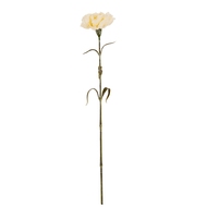 Cream Carnation Stem - Thumb 2