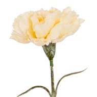 Cream Carnation Stem - Thumb 1