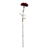 Burgundy Carnation Stem - Thumb 2