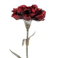 Burgundy Carnation Stem - Thumb 3
