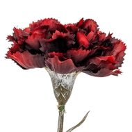 Burgundy Carnation Stem - Thumb 1