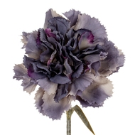 Purple Carnation Stem - Thumb 3