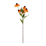 Orange Echinacea Spray - Thumb 2