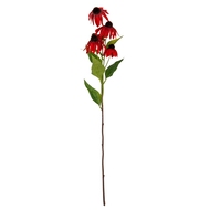 Red Echinacea Spray - Thumb 2