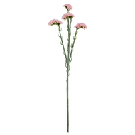 Pink Statis Spray - Thumb 2