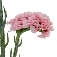 Pink Statis Spray - Thumb 3
