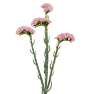 Pink Statis Spray - Thumb 1