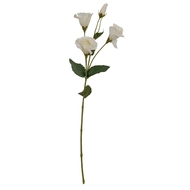 White Lisianthus Spray - Thumb 2