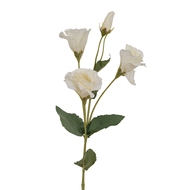 White Lisianthus Spray - Thumb 1