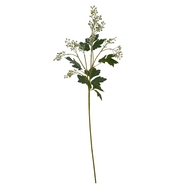 Milk Thistle Bud Spray - Thumb 2