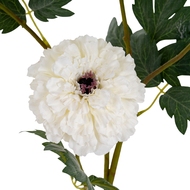 White African Marigold Large Spray - Thumb 3