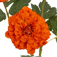 Orange African Marigold Large Spray - Thumb 3