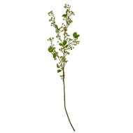 Green Mossberry Large Branch - Thumb 2