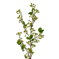 Green Mossberry Large Branch - Thumb 1