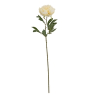 Large Buttermilk Double Peony Stem - Thumb 2