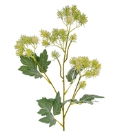 Green French Meadow Spray - Thumb 1
