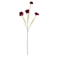 Burgundy Cornflower Stem - Thumb 2