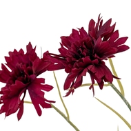 Burgundy Cornflower Stem - Thumb 3