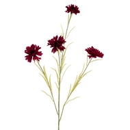 Burgundy Cornflower Stem - Thumb 1